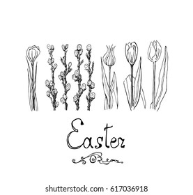 Vector black and white hand drawn line sketches of flowers (three Tulips and a Crocus) and branches of Pussy-Willow, Easter design, isolated on white