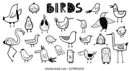 Vector black and white hand-drawn  childish set with Various cute contour birds  in Scandinavian style on a white background. Vector set with doodle birds.