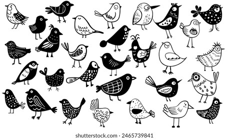 Vector negro y blanco dibujado a mano conjunto infantil con varias aves de contorno lindo. Dibujo de dibujos animados de dibujos animados. Esbozo de colección de contorno elemento simple. Línea de garabato de dibujo a lápiz