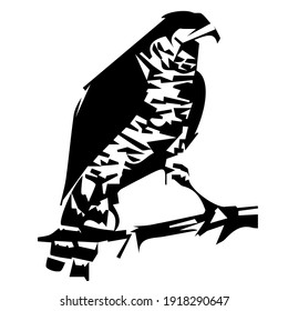 vector black and white highly stylized drawing of a falcon that sits on a branch isolated on a white background. can be used as a logo, tattoo, for printing on a t-shirt.