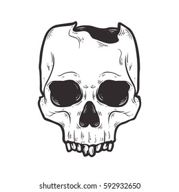 Vector Black and White Human Skull