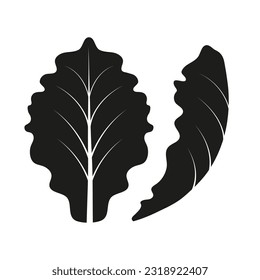 Vector black and white icons - lettuce leaves. Leafy vegetables, healthy food.