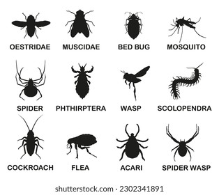 Vector black and white icons of various insects. Insects that harm people. Vector graphics.