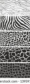 Vector black and white illustration animal pattern background African animal wild