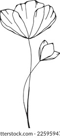 Vector, black white illustration, blooming, delicate, fragile flower on a thin, long stem with a bud. For the holiday, design, invitations and as an element for design.