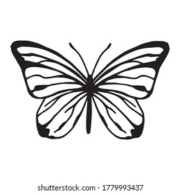 vector black and white illustration. butterfly Pieris brassicae. silhouette of a butterfly, graphics. mystical symbol, esotericism. isolated on white background