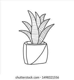 Vector black and white illustration with cactus