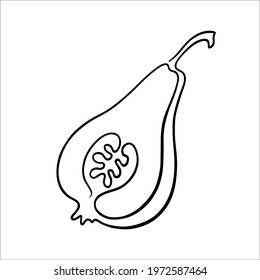 Vector black and white illustration - a cut pear drawn with a single line