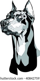 Vector black and white illustration of a Dobermann Pinscher head in tattoo style.