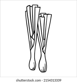 Vector black and white illustration of doodle greenery: onion