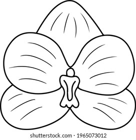 Vector black and white illustration of a flower. Black and white orchid for wallpaper, postcards or print.