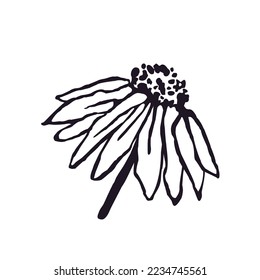 Ilustración vectorial en blanco y negro de flores aisladas en fondo blanco