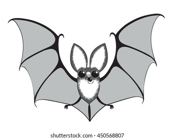 vector black and white illustration funny bat