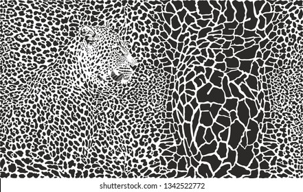 Vector ilustración en blanco y negro de jirafa y leopardo 