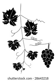 vector black and white illustration of grape vine with swirls and cluster of grapes