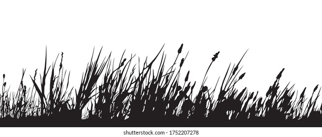 Vector black white illustration of a grass silhouette