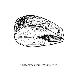 Vector ilustración en blanco y negro. Dibujado a mano arte sobre el tema de los peces. Con una silueta aislada blanca en el fondo