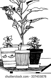 Vector black and white illustration hand drawn flowers. Still life with plants in the pots.