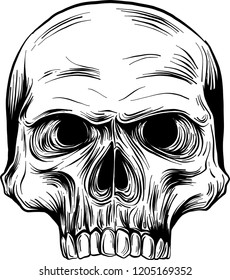 Vector black and white illustration of human skull with a lower jaw in ink hand drawn style.