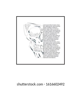 Vector black and white illustration of human skull with a lower jaw in ink hand drawn style.