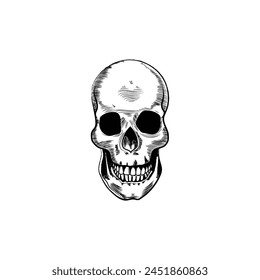 Vector black and white illustration of human skull with a lower jaw in hand drawn style.