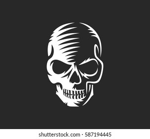 Vector black and white illustration of human skull