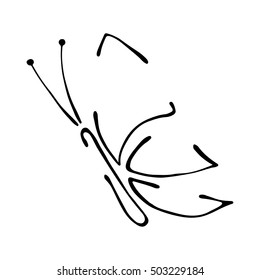 Vector black and white  illustration of insect. Butterfly isolated on the white background. Hand drawn contour lines and strokes. Decorative logo, icon, sign. Graphic vector illustration. 