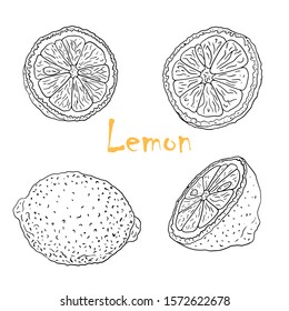 Vector black and white illustration with lemons. Slice, half, whole lemon. Set of hand-drawn Doodle-style Elements for packaging design of tea, juice, health products and cosmetics. Isolated on white