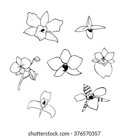Vector black and white illustration of line orchid set. Isolated flowers.