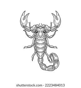 Vector black and white illustration of a scorpion