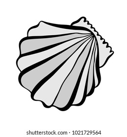 Vector black and white illustration with seashells.