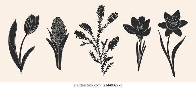 Vector black and white illustration. Set of spring flowers. Hand drawing, cartoon. Narcissus, hyacinth, mimosa, crocus, tulip.