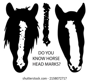 Vector black and white illustration set: Horse Facial Markings - head spots, stars, snipe, stripe, bald face
