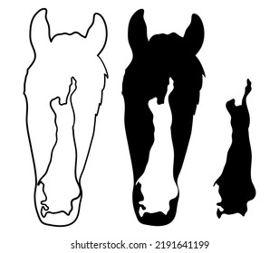 Conjunto de ilustraciones en blanco y negro de vectores: Marcadores faciales de caballos