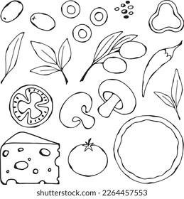 Vector, black -white illustration of a set of insulated products for pizza. Tomato, olives, cheese, greens, mushrooms, pepper, spices as elements for design and design. Drawn by hand.