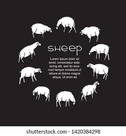 Vector black and white illustration with sheeps and text.