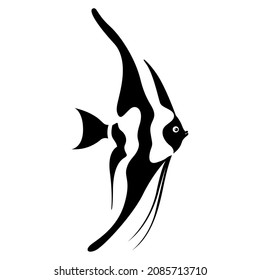 vector black and white illustration of a silhouette of a beautiful decorative aquarium fish isolated on white background. useful for aquariums, pet shops, fish food, logo, advertising, print, tattoo