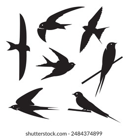 Vector black and white illustration of a swallow.