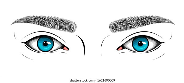 Vector black and white illustration with woman's blue eyes and hand drawn brows. Makeup Look for browbar. Sketch for design, lamination, microblading, long-term styling of eyebrows. 