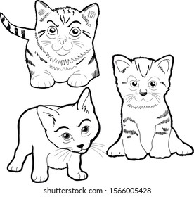 Vector black and white illustrations of three kittens in different positions