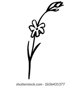 Vector black and white image of flower. Botanical floral design element.