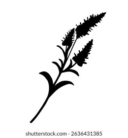 Vector black and white image of flower. Botanical floral design element.