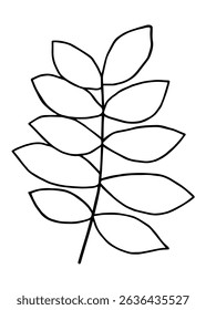 Vector black and white image of a plant. Botanical decor element.