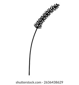 Vector black and white image of a spikelet. Botanical decorative element.