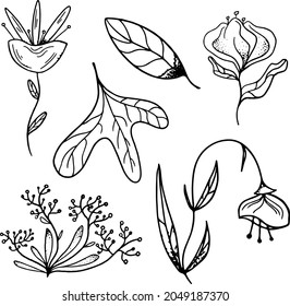 Vector Imagen en blanco y negro de raras flores y hojas inusuales