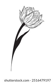 Vector de tinta en blanco y negro dibujado a mano flor de tinta