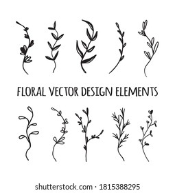 Vector black and white isolate silhouette floral herbal nature leaves and flower doodles set decoration design elements.Abstract plants drawing illustration.Botanical hand drawn art.
