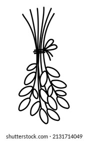 Vector black and white leaves bouquet. Outline crop bunch tied with rope. Funny plant illustration or coloring page isolated on white background. Drying twigs hanging upside down
