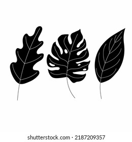 vector black and white leaves to embellish your designs stunning easy to edit and use