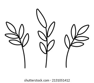 Vector black and white leaves. Outline twigs picture. Funny plant illustration or coloring page isolated on white background
